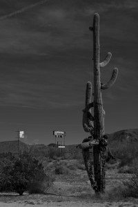 Papago-TP-grayscale_DSC5640-sw